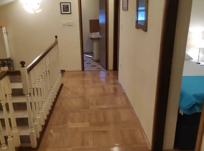 Tatil Evi Lisinski
